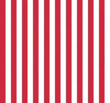 Load image into Gallery viewer, AMERICAN FLAG
